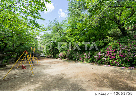 小牧山　桜の馬場のツツジ 40661759