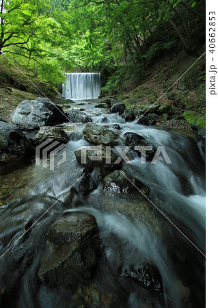 新緑の渓流 40662853