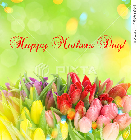 Happy Mothers Day Fresh spring tulip flowers Light Happy Mothers Day Fresh spring tulip flowers Light 40663364