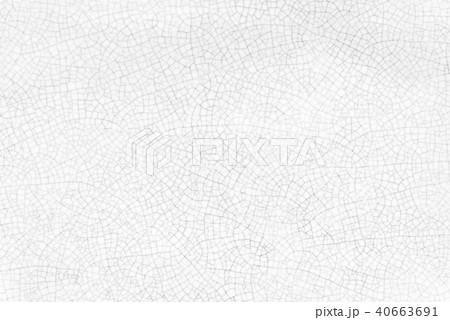 Abstarct background from cracked white texture Abstarct background from cracked white texture 40663691