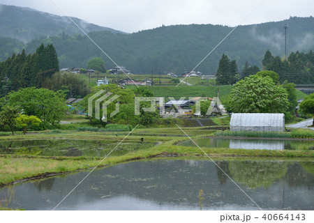 春の田園 40664143