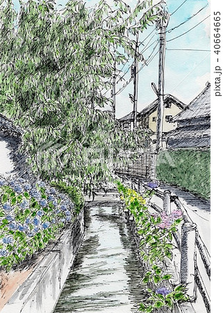 紫陽花の咲く風景 40664665