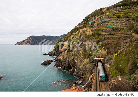 チンクエ・テッレ（イタリア・リグーリア州）　ヴェルナッツァを走る列車 40664840