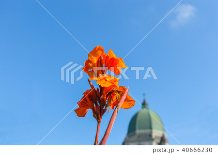 Saint Joseph's Oratory of Mount Royal located in M Saint Joseph's Oratory of Mount Royal located in M 40666230