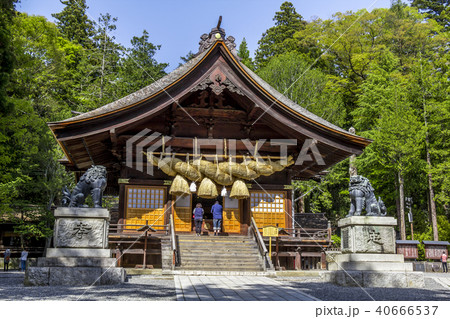 長野県 諏訪大社 下社秋宮 神楽殿 長野県 諏訪大社 下社秋宮 神楽殿 40666537