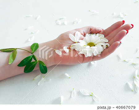 eco lifestyle flora organic care herbal flower 40667079
