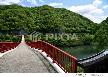 夢吊橋 ギネス認定 広島 八田原ダム 夢吊橋 ギネス認定 広島 八田原ダム 40667230
