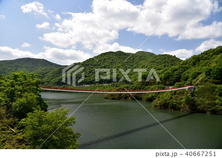 夢吊橋　ギネス認定　広島　八田原ダム 40667251