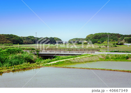 田園風景 40667349