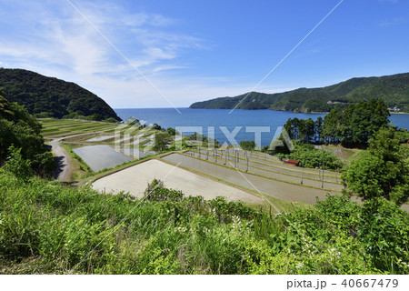 田烏（たがらす）の棚田（福井県小浜市田烏） 40667479