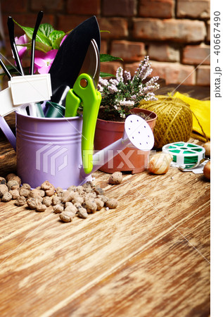 Gardening tools of shovel rake labels Gardening tools of shovel rake labels 40667490