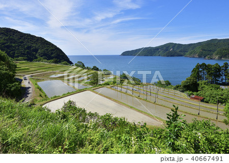 田烏（たがらす）の棚田（福井県小浜市田烏） 40667491