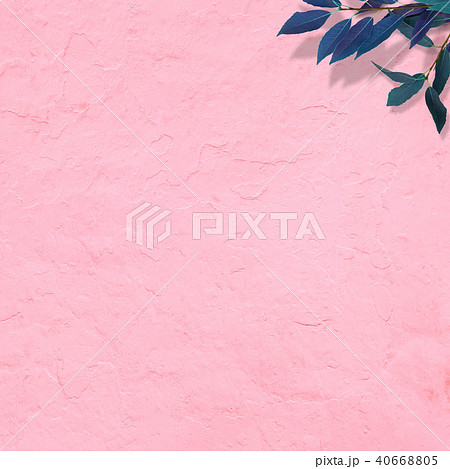 背景 ピンクの壁 葉のイラスト素材