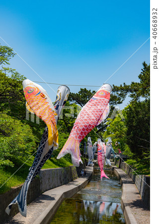 夙川の空を泳ぐ鯉のぼり 40668932