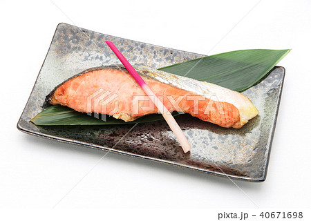 鮭の粕漬 鮭の粕漬 40671698