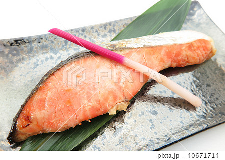 鮭 40671714