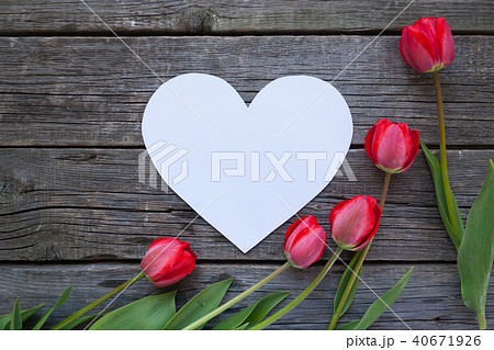 red tulips on wooden background red tulips on wooden background 40671926