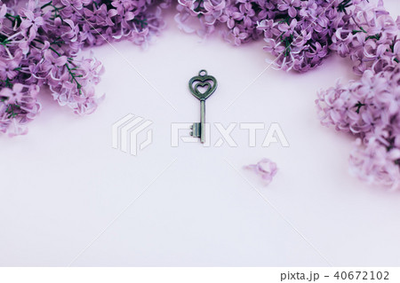 Blank paper card with lilac flowers 40672102