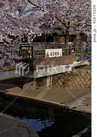 聲の形の舞台になった大垣市の美登鯉橋の写真素材 [40675009] - PIXTA