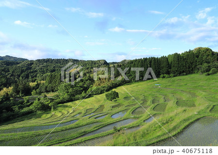 初夏の大山千枚田 初夏の大山千枚田 40675118