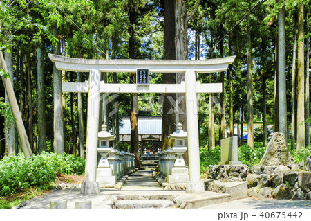 山宮浅間神社 40675442