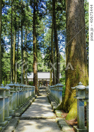 山宮浅間神社参道（縦） 40675444
