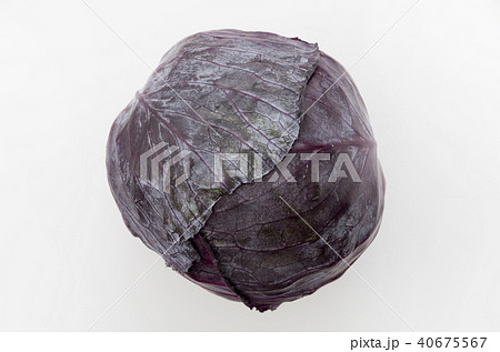 紫キャベツ 紫キャベツ 40675567
