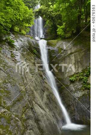 【兵庫県　香美町】猿尾滝（日本の滝百選） 40676563