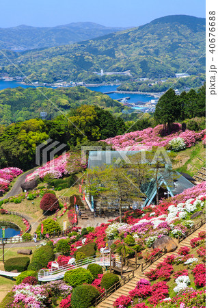 長串山つつじまつりと九十九島 長崎県佐世保市鹿町町 の写真素材