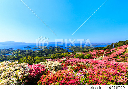 長串山つつじまつりと九十九島　【長崎県佐世保市鹿町町】 40676700