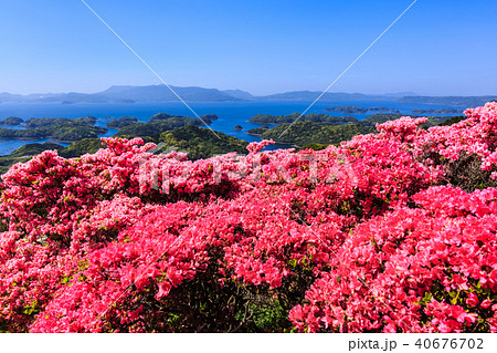 長串山つつじまつりと九十九島 長崎県佐世保市鹿町町 の写真素材