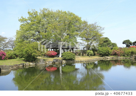 館林市つつじが岡公園 池と映り込み 館林市つつじが岡公園 池と映り込み 40677433