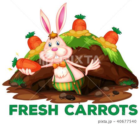 A Cute Rabbit and Carrots 40677540