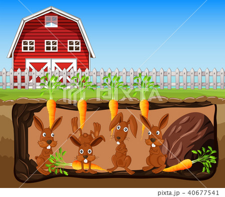 A Rabbit Hole Under Carrot Farm 40677541