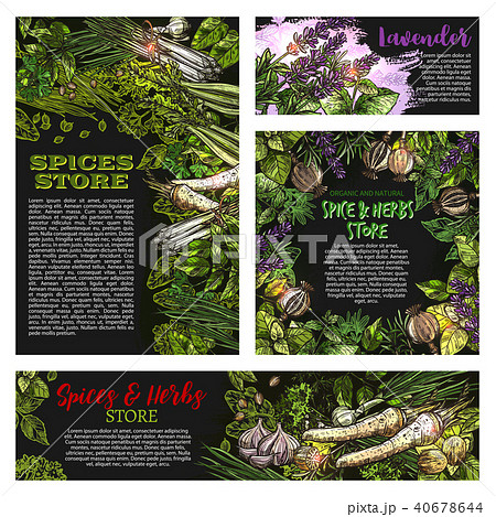 Spices and herbs vetctor store sketch posters 40678644