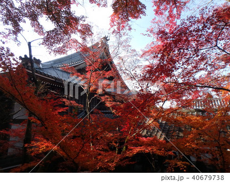 紅葉と建物 紅葉と建物 40679738