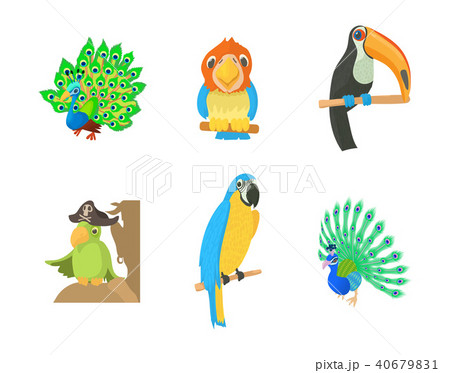 Exotic bird icon set, cartoon style Exotic bird icon set, cartoon style 40679831