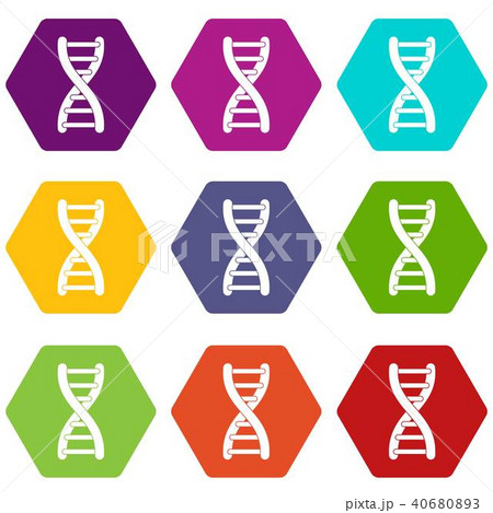 DNA strand icon set color hexahedron 40680893