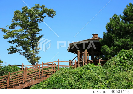 風景 木 全羅南道 40683112