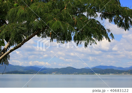 順天市 順天湾 海 40683122