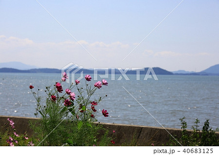 順天市 順天湾 海 40683125