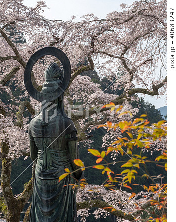 坊の仏像 坊の仏像 40683247