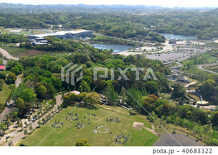 愛・地球博記念公園 40683322