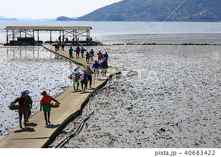 順天市 女性 漁業 40683422