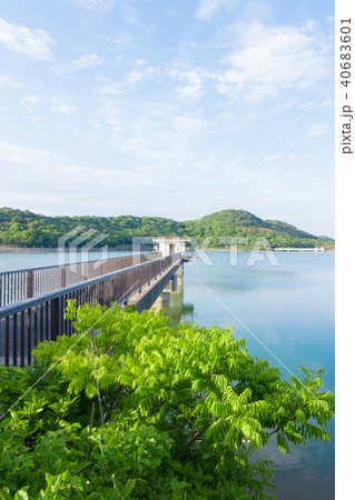 [愛知県]　初立池 40683601