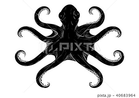 Octopus with symmetric tentacles. Black hand drawn sketch 40683964