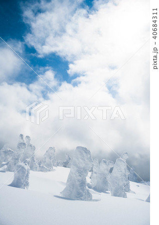 阿仁の樹氷 40684311