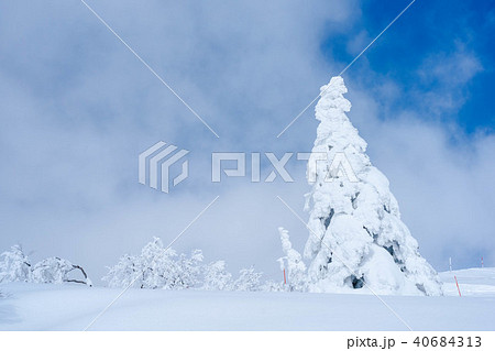 阿仁の樹氷 阿仁の樹氷 40684313