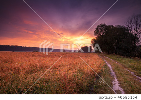 Rural autumn landscape, dirt road along the field Rural autumn landscape, dirt road along the field 40685154