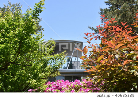 新緑の茅ヶ崎美術館 40685339